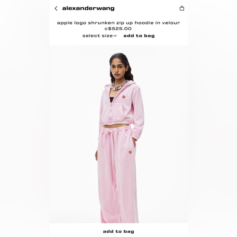 Alexander Wang apple logo shrunken zip up hoodie in velour